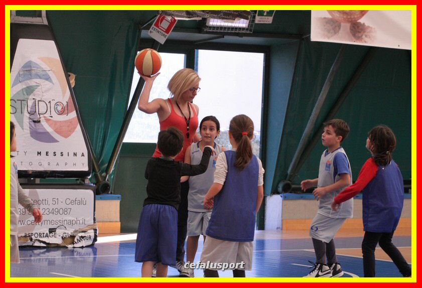 170317 basket 001_tn.jpg